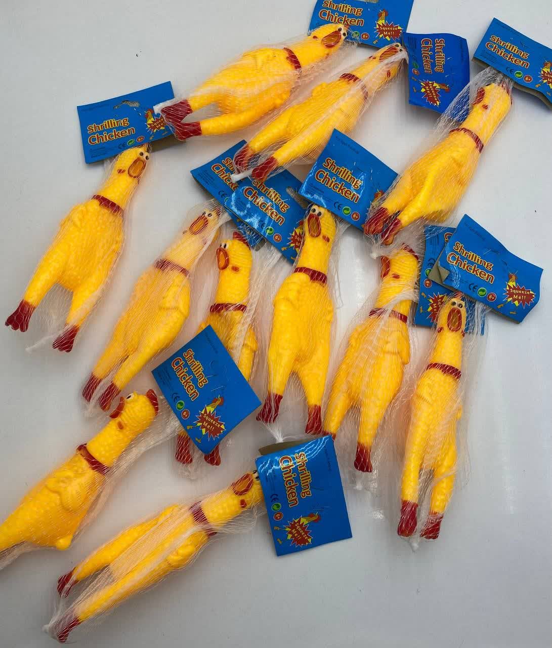 photo_2026-01-24_13-53-00