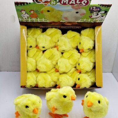 جوجه کوکی جعبه ای (12 عددی)